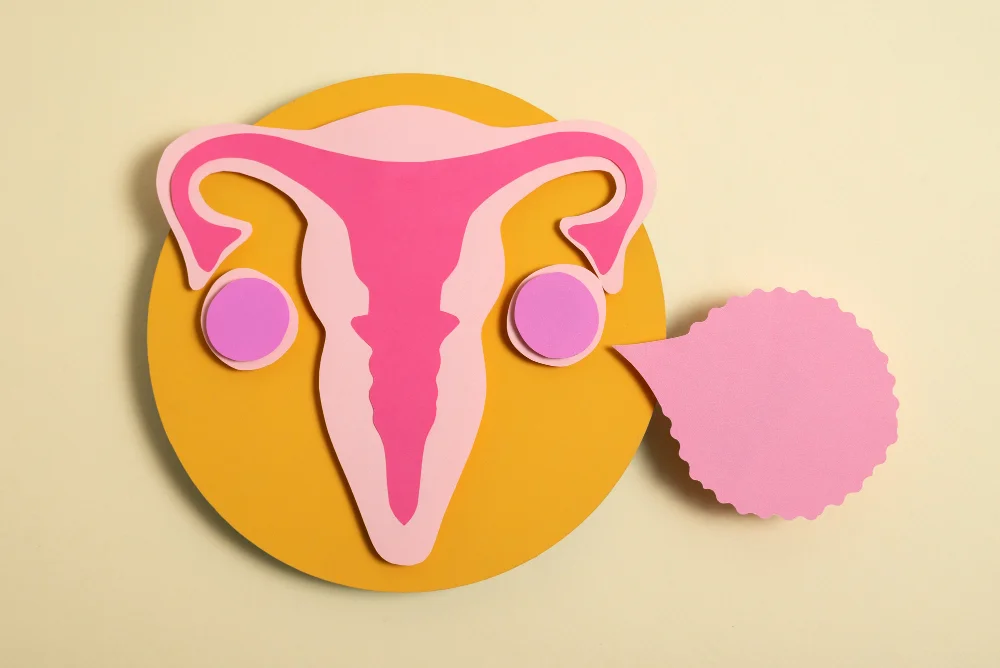 órgão reprodutor da mulher, sendo útero e ovário, desenhado estilo cartolina
